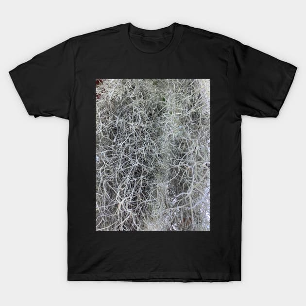 Spanish Moss T-Shirt by DentistArt2022